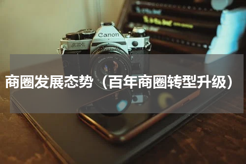 商圈发展态势（百年商圈转型升级）