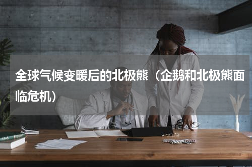全球气候变暖后的北极熊（企鹅和北极熊面临危机）