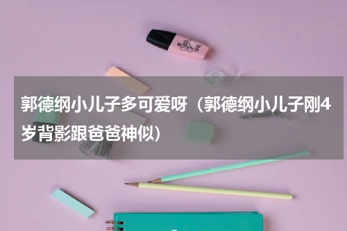 郭德纲小儿子多可爱呀（郭德纲小儿子刚4岁背影跟爸爸神似）