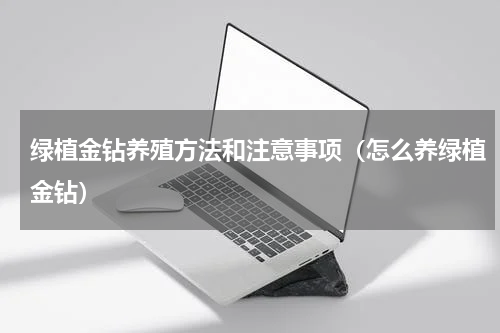 绿植金钻养殖方法和注意事项（怎么养绿植金钻）