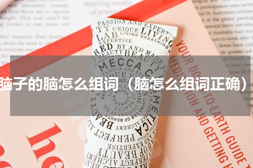 脑子的脑怎么组词（脑怎么组词正确）