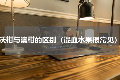 沃柑与澳柑的区别（混血水果很常见）