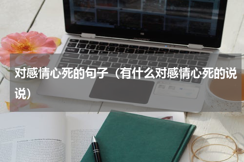 对感情心死的句子（有什么对感情心死的说说）