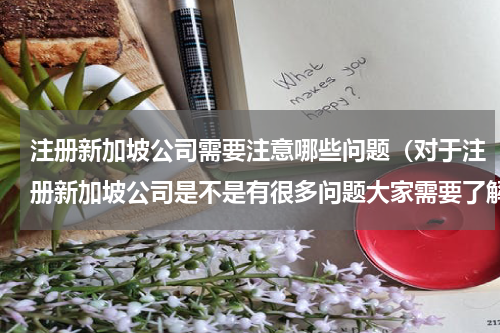 注册新加坡公司需要注意哪些问题（对于注册新加坡公司是不是有很多问题大家需要了解的）