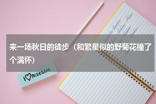 来一场秋日的徒步（和繁星似的野菊花撞了个满怀）