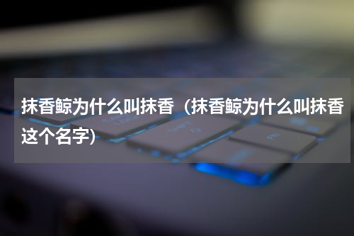 抹香鲸为什么叫抹香（抹香鲸为什么叫抹香这个名字）