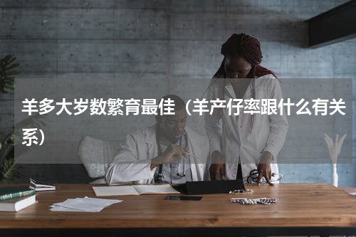 羊多大岁数繁育最佳（羊产仔率跟什么有关系）
