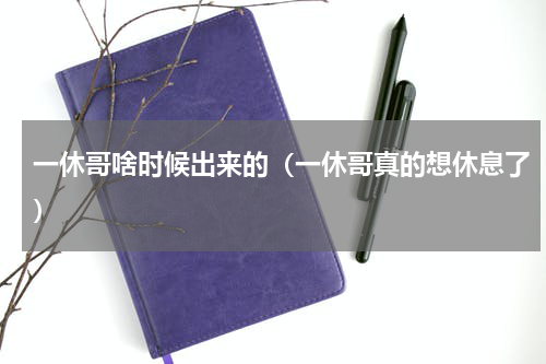 一休哥啥时候出来的（一休哥真的想休息了）