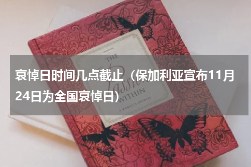 哀悼日时间几点截止（保加利亚宣布11月24日为全国哀悼日）