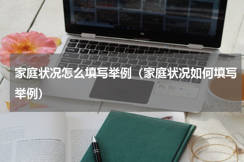 家庭状况怎么填写举例（家庭状况如何填写举例）
