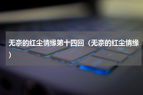 无奈的红尘情缘第十四回（无奈的红尘情缘）
