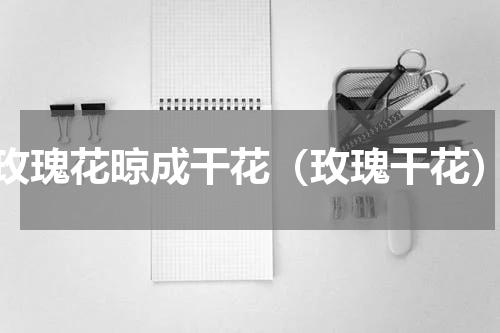 玫瑰花晾成干花（玫瑰干花）