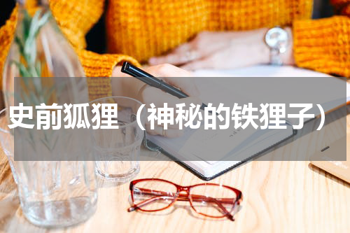 史前狐狸（神秘的铁狸子）