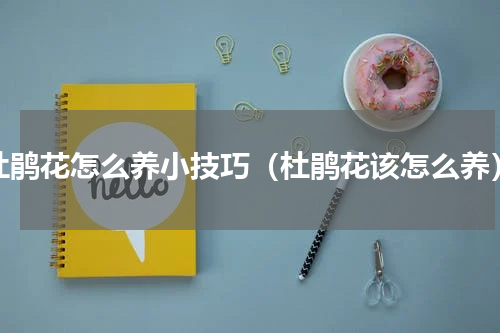 杜鹃花怎么养小技巧（杜鹃花该怎么养）