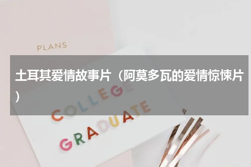 土耳其爱情故事片（阿莫多瓦的爱情惊悚片）