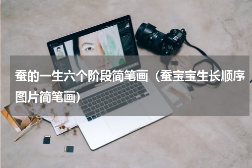 蚕的一生六个阶段简笔画（蚕宝宝生长顺序图片简笔画）