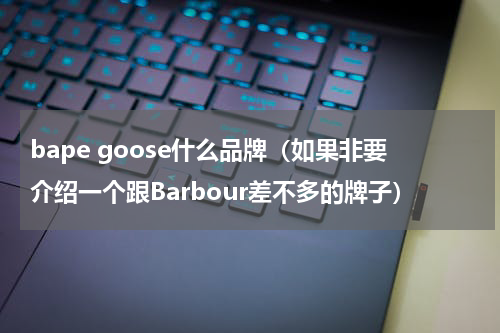 bape goose什么品牌（如果非要介绍一个跟Barbour差不多的牌子）
