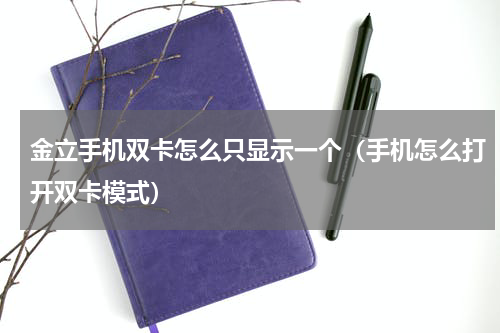 金立手机双卡怎么只显示一个（手机怎么打开双卡模式）