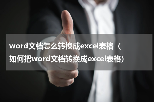 word文档怎么转换成excel表格（如何把word文档转换成excel表格）