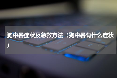 狗中暑症状及急救方法（狗中暑有什么症状）