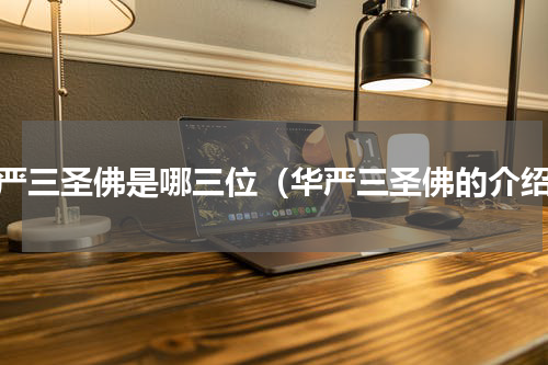 华严三圣佛是哪三位（华严三圣佛的介绍）