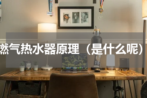 燃气热水器原理（是什么呢）