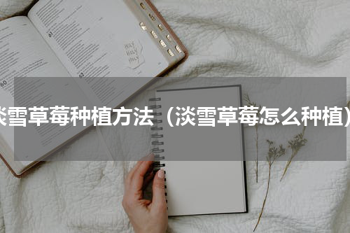 淡雪草莓种植方法（淡雪草莓怎么种植）