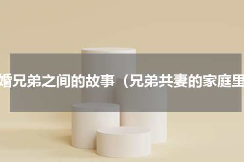 二婚兄弟之间的故事（兄弟共妻的家庭里）