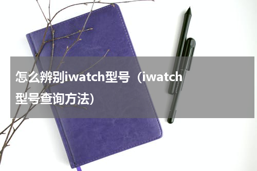 怎么辨别iwatch型号（iwatch型号查询方法）