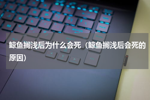 鲸鱼搁浅后为什么会死（鲸鱼搁浅后会死的原因）