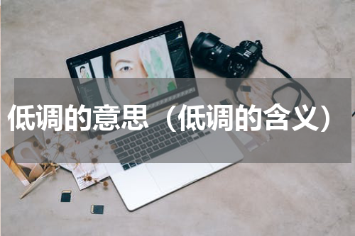 低调的意思（低调的含义）