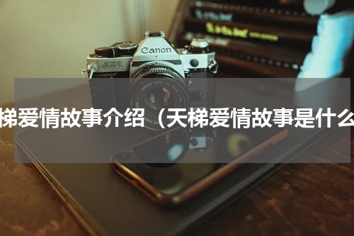 天梯爱情故事介绍（天梯爱情故事是什么）
