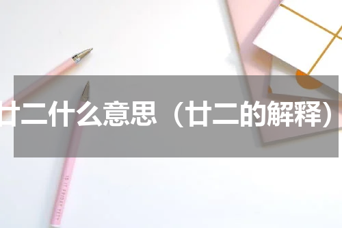 廿二什么意思（廿二的解释）
