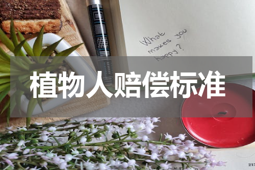 植物人赔偿标准