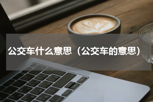 公交车什么意思（公交车的意思）