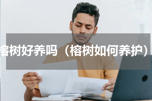 榕树好养吗（榕树如何养护）