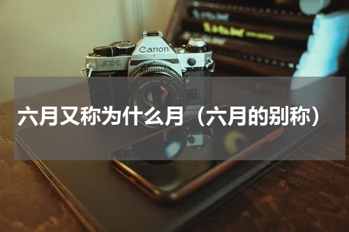 六月又称为什么月（六月的别称）