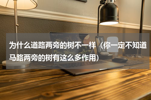 为什么道路两旁的树不一样（你一定不知道马路两旁的树有这么多作用）