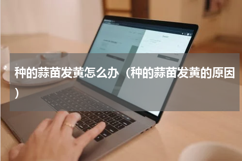 种的蒜苗发黄怎么办（种的蒜苗发黄的原因）