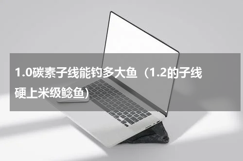 1.0碳素子线能钓多大鱼（1.2的子线硬上米级鲶鱼）