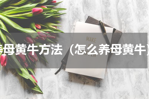养母黄牛方法（怎么养母黄牛）