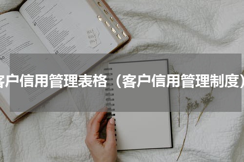 客户信用管理表格（客户信用管理制度）