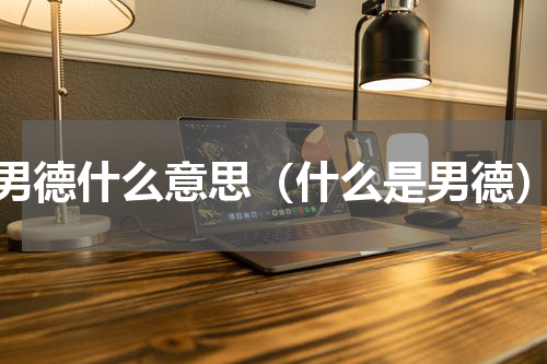 男德什么意思（什么是男德）