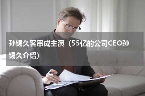 孙锡久客串成主演（55亿的公司CEO孙锡久介绍）