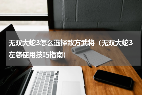 无双大蛇3怎么选择敌方武将（无双大蛇3左慈使用技巧指南）