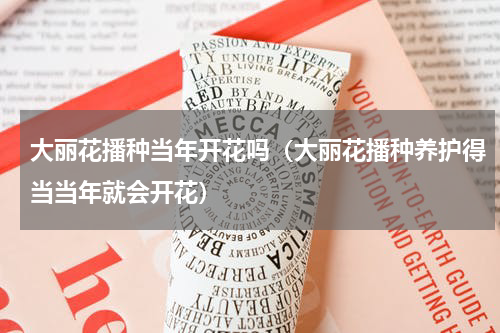 大丽花播种当年开花吗（大丽花播种养护得当当年就会开花）