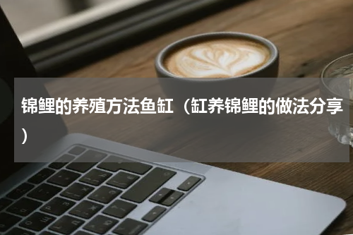 锦鲤的养殖方法鱼缸（缸养锦鲤的做法分享）