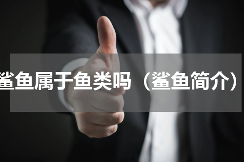 鲨鱼属于鱼类吗（鲨鱼简介）