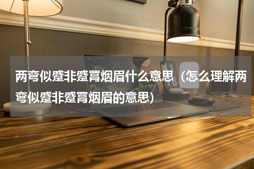 两弯似蹙非蹙罥烟眉什么意思（怎么理解两弯似蹙非蹙罥烟眉的意思）