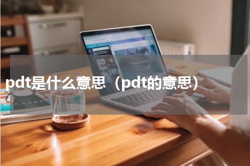pdt是什么意思（pdt的意思）